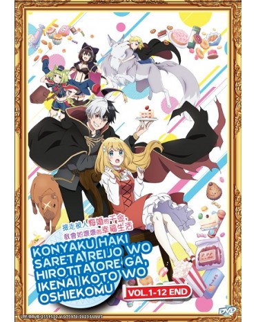 KONYAKU HAKI SARETA REIJO WO HIROTTA ORE GA, IKENAI KOTO WO OSHIEKOMU VOL.1-12 END